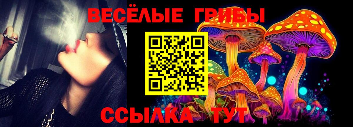 дарнет шоп  Псилоцибиновые грибы Cubensis  Малоярославец  Вход с VPN  Псилоцибиновые грибы Cubensis 